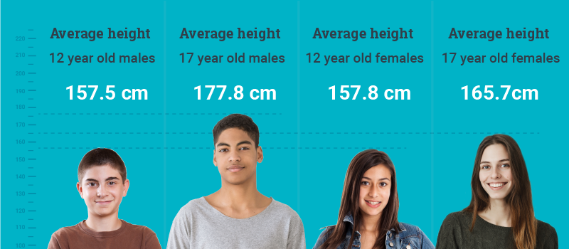 Average Heights