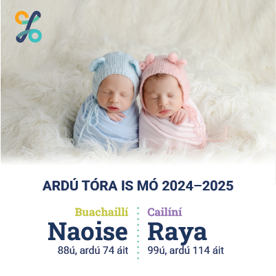 Ardú tóra is mó 2024-2025