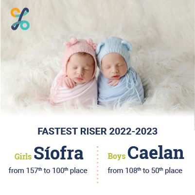 Infobyte fastest riser