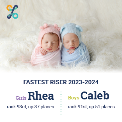 Infobyte Fastest Riser