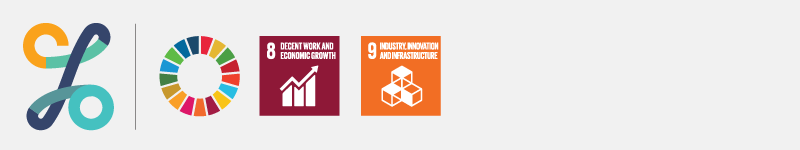 CSO SDGs banner with SDG indicator icons 8 & 9