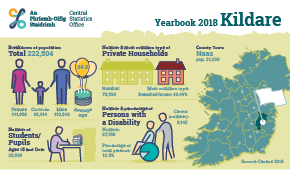 Statistical Yearbook of Ireland, 2018 Kildare Profile Small