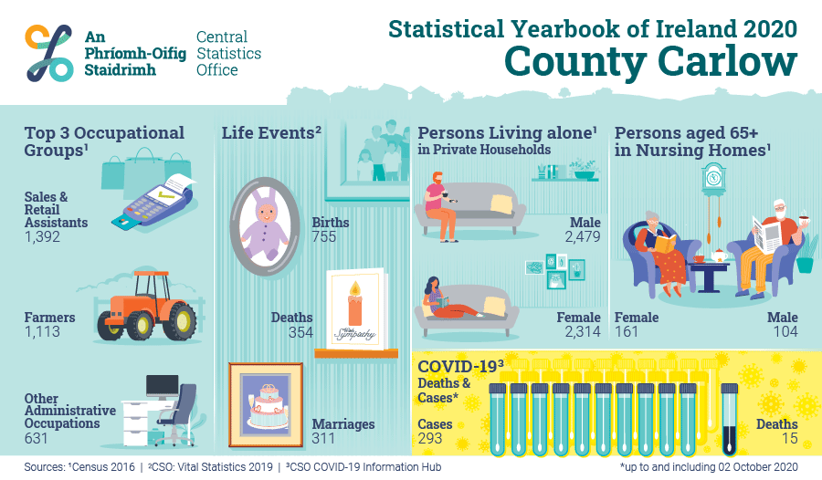 Animated County Profile Infographic 2020