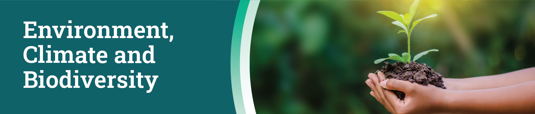 Environment Banner