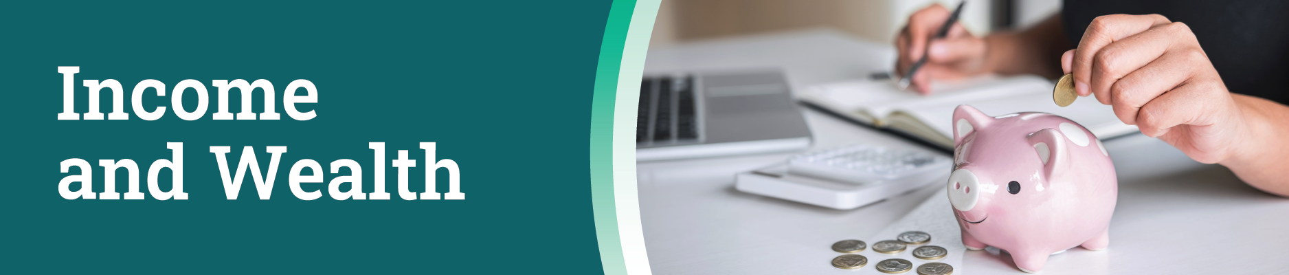 Income Banner