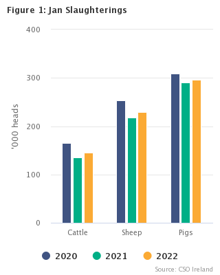 Livestock Slaughterings January 2022 Figure 1