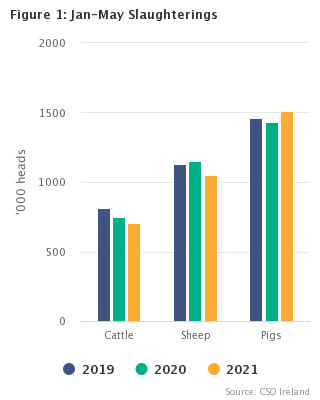 Livestock Slaughterings Release May 2021 Figure 1