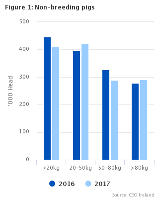 Figure 1 Non-breeding Pigs