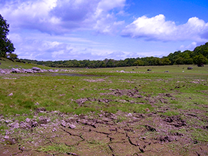 Photograph 6.5 Turlough