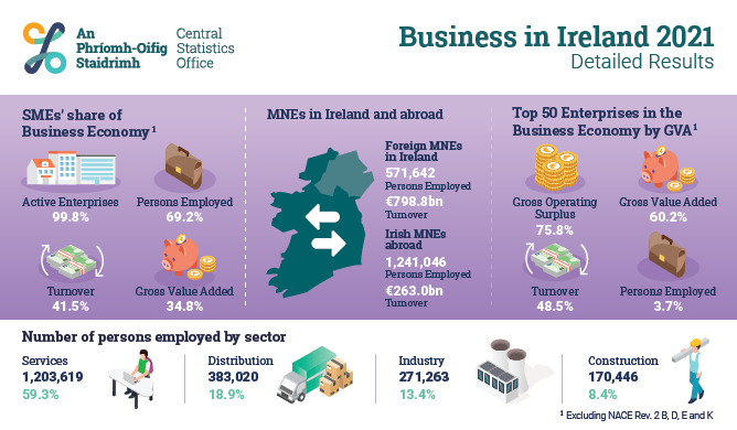 Business in Ireland 2021 - Detailed Results Infographic
