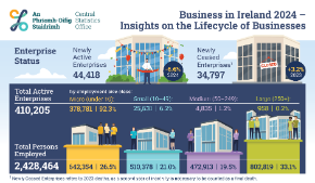 Business in Ireland 2024 - Insights on the Lifecycle of Businesses - THUMB