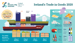 Irelands Trade in Goods 2020 - Thumbnail
