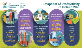 Productivity in Ireland 2021 -Thumbnail