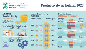 Thumbnail - National Accounts Productivity in Ireland 2024 - 2025