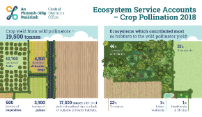 Ecosystem Service Accounts - Crop Pollination - Variant