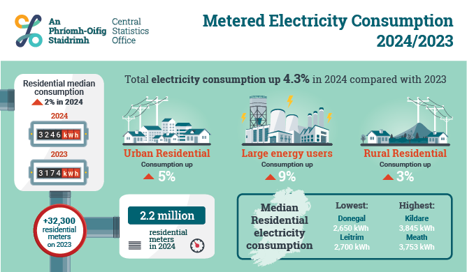 Metered Electricity Consumption 2024