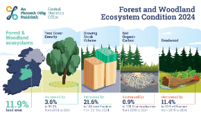 Ecosystem Condition Accounts - Forests and Woodlands 2024 - Thumb