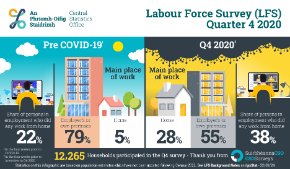 Labour Force Survey Quarter 4 2020 Thumbnail