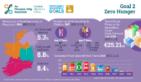 Ireland's UN SDGs 2019 - Report on Indicators for Goal 2 Zero Hunger-Thumbnail
