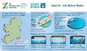 UN SDG's Goal 14 Life Below Water 2021_Thumbnail
