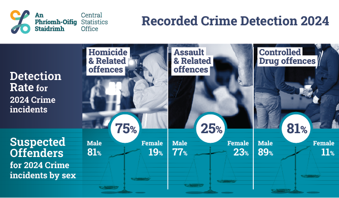 Recorded Crime Detection 2024