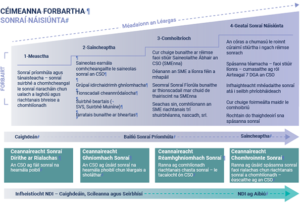 Irish National Data Development Stages
